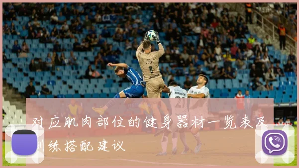 对应肌肉部位的健身器材一览表及训练搭配建议