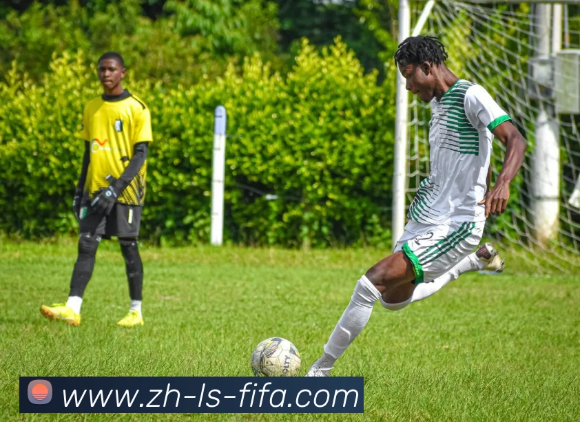 App Interface Preview